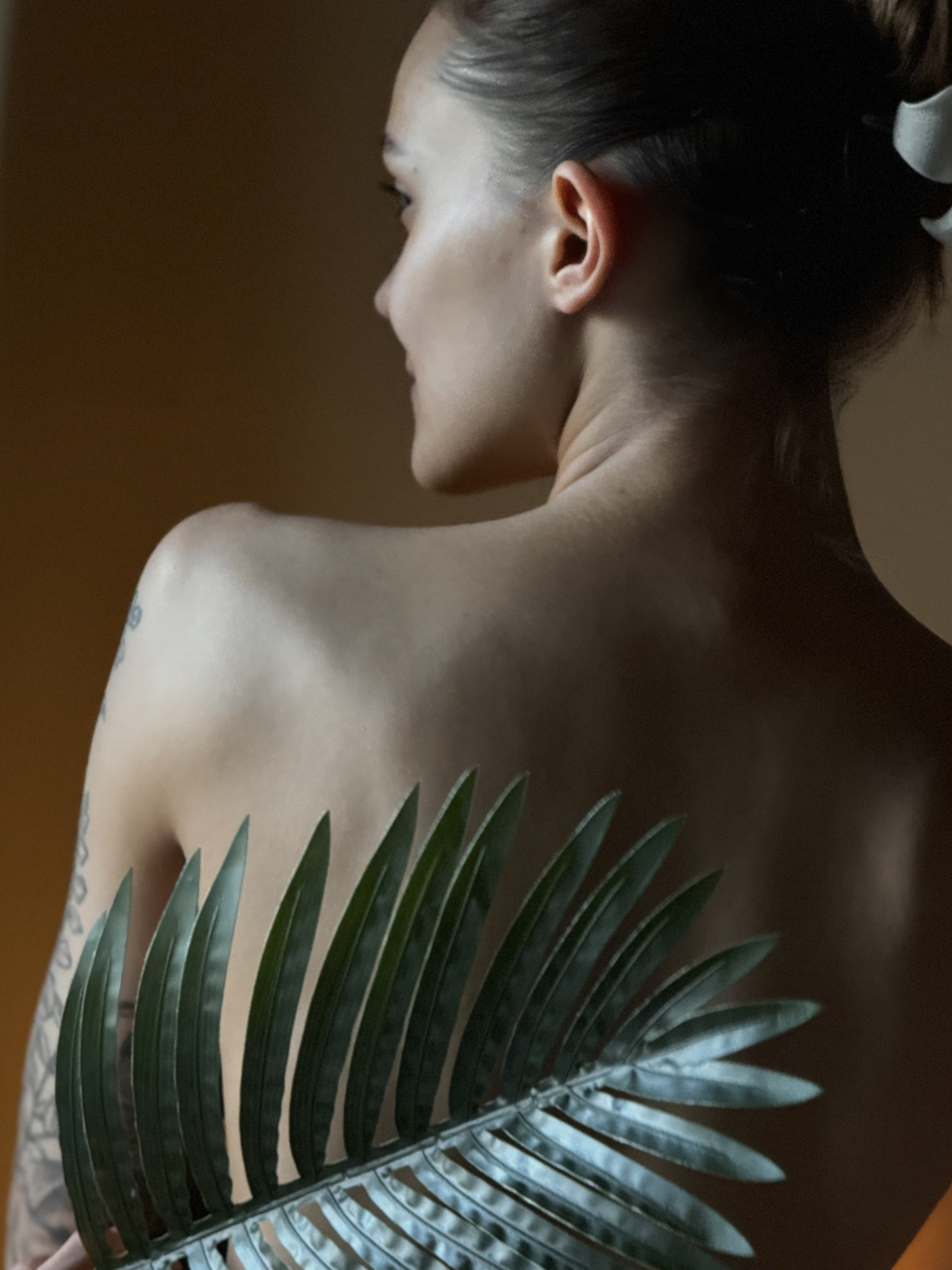 СПА-программа "Tropicano"